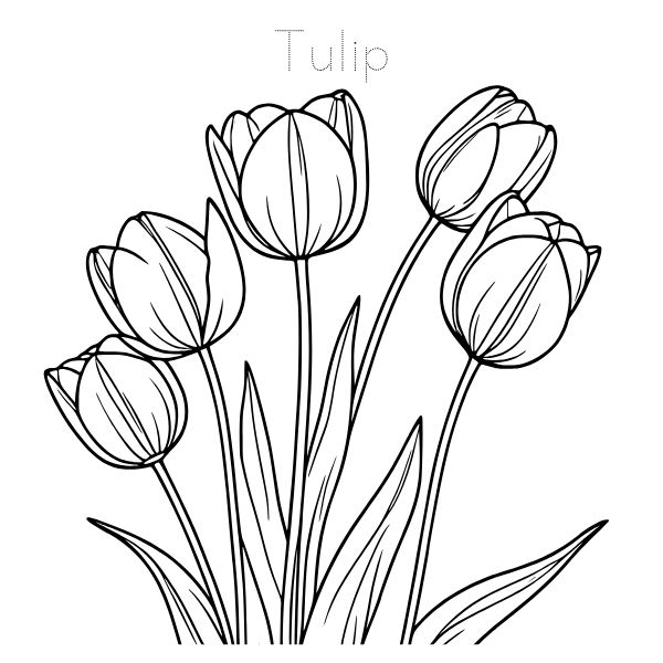 Floral Coloring and Tracing Book