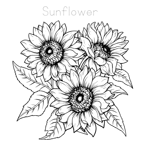 Floral Coloring and Tracing Book