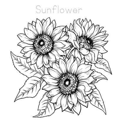 Floral Coloring and Tracing Book