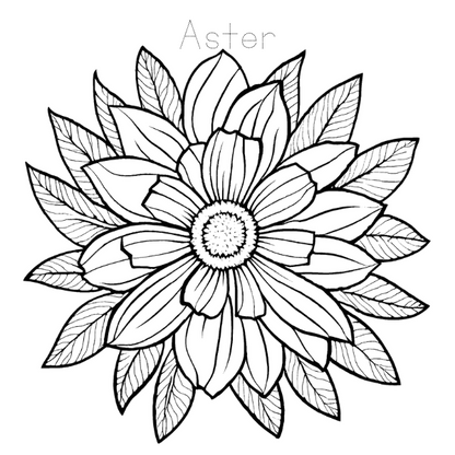 Floral Coloring and Tracing Book