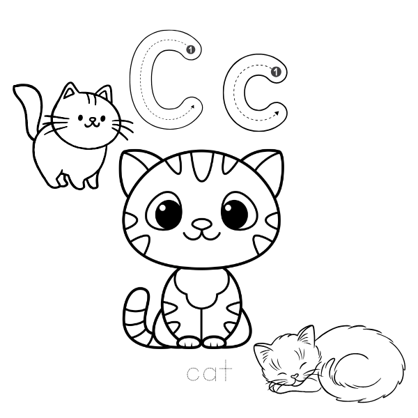 Alphabet Coloring and Tracing Book